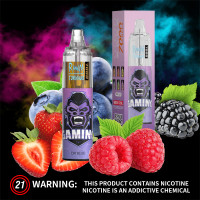 Dr Blue - RandM Tornado 7000 - Disposable Vape