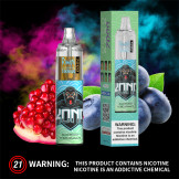 Blueberry Pomegranate - RandM Tornado 7000 - Disposable Vape