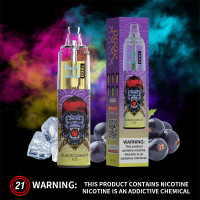 Blackcurrant Ice - RandM Tornado 7000 - Disposable Vape