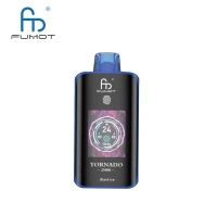 Black Ice - RandM Tornado 25000 - Disposable Vape