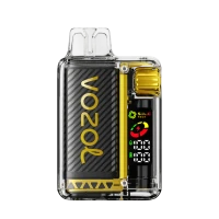 Passion Fruit Raspberry Tangerine - Vozol Vista 20000 - Disposable Vape