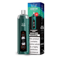 ⁠Blueberry Mint - Al Fakher 8000 CRYSTAL - Disposable Vape